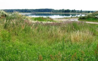 Dále se jde loukami v povodí řeky Moravy,