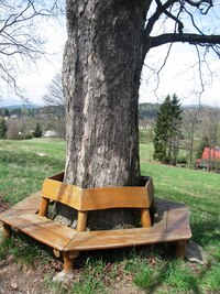 Odtud stoupáme nad Jablonecké Paseky