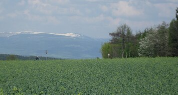 a zasněžené Krkonoše jsou už docela blízko