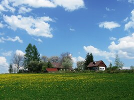 Zde jsme na jeho vrcholu