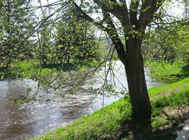Za městem se loučíme s Jizerou