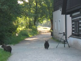 Pan Chaloupek si prostě nedá pokoj!