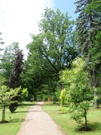 do místního zámeckého parku s arboretem