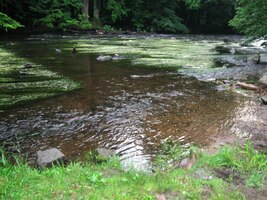 hlubokým údolím řeky Orlice