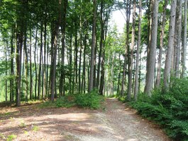 Cesta dolů je plná překvapení