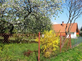 okolo kvetoucích zahrad