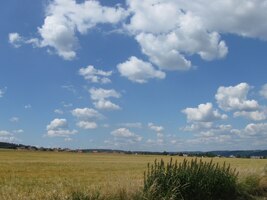 a my jsme šli nekonečnými polmi,