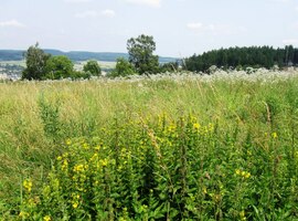 jdeme dolů cestou s názvem Na pokloně
