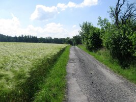 A to už je zase cesta,