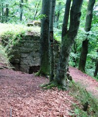 se zříceninou hradu Žampach