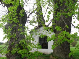 To už se ale blížíme k cíli