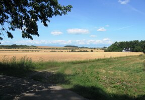 kde byl stín velkou vzácností