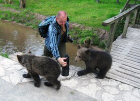 Medvědi! To je tedy šok!