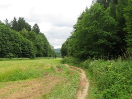 Dále vede cesta loukami