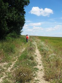 a pak pohodlnou luční cestou dolů