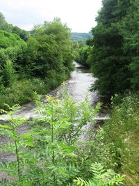 zpátky k řece Orlici