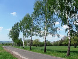 Stoupáme na nejvyšší vrch etapy