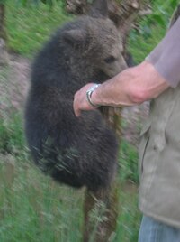 a Adélka vylezla na strom