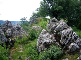 Taricové skály za Korenným vrchom