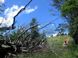 Výstup na vrch Kríželnica