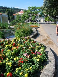 ... a květinových záhonů (inu světové lázně!)