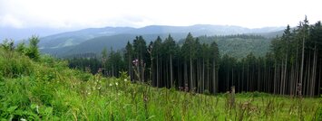 Výhled z výstupu na hřeben Javorníků