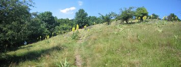 Amonovy louky - kras pod Vápennou