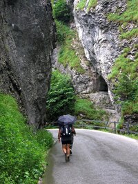 Pampalini nosí všechno