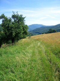 Sestup z Vápeče, teď už pohodlný