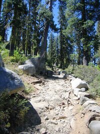 Převýšení tohoto "pepatreku" není velké,