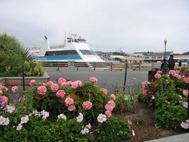 na promenádě Fishermans Wharf