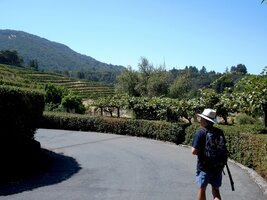 a mají tu pro návštěvníky různé atrakce