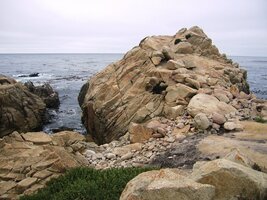 Stihli jsme ten den skoro všechno: