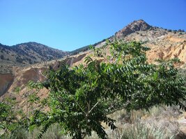 Tady už stoupáme do hor