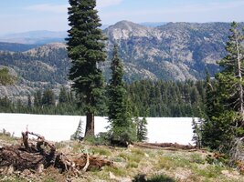 jsou tu ještě zbytky sněhu