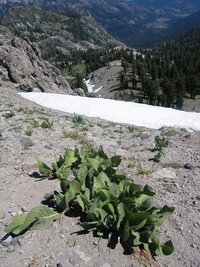 Přestože slunce nemilosrdně pere,