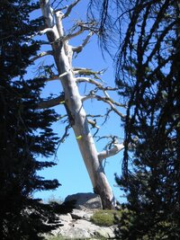 a nebezpečí požárů je tu veliké