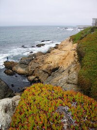 podél Pacific Coast po Highway Nr.1 ze SFO do Monterey