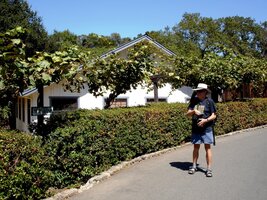 jako třeba projížďku vinicemi ve speciálním autobusu