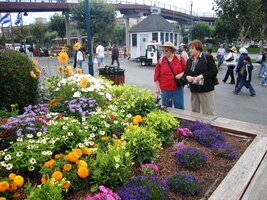 a kocháme se pestrými květy