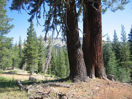 Vyšlápli jsme si na horský trek do Sierry Nevady