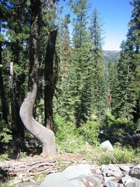 k jezírkům Loch Leaven Lakes