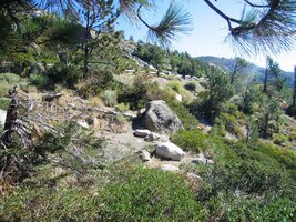 První zastávku máme nad průsmykem Donner Pass