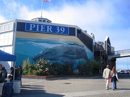 Na přístavišti Pier 39 to není jediná atrakce
