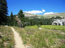 Tady už jsme na cestě k parkovišti