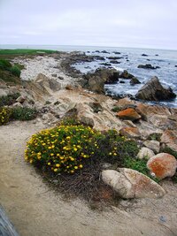 oběd ve Steinbeckově městě Saliňas,