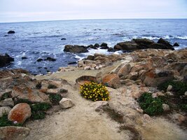okruhy lesem Del Monte Forest a po slavné 17-Mile Drive