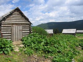 Po dvou hodinách stoupání jsme u těchto salaší