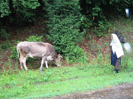 Této babce déšť zjevně nevadil - zvyk je železná košile