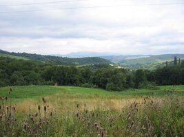 a stopy cicvlizace jsou tu vzácností